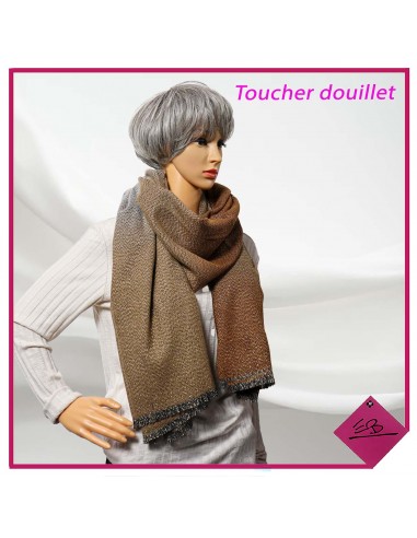 Echarpe toucher douillet, dégradé BEIGE CUIVRE GRIS, fil lurex