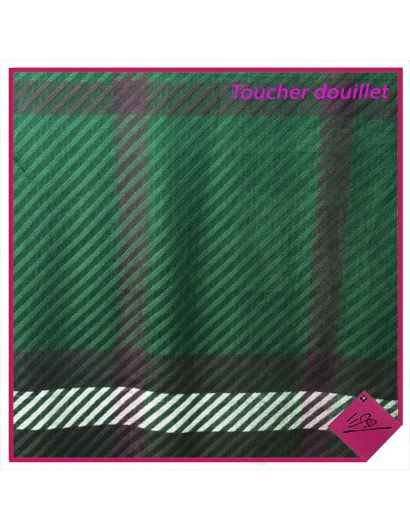 Echarpe toucher douillet, fond VERT, rayée PRUNE et BEIGE