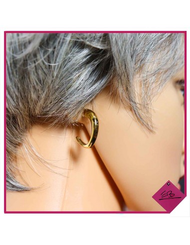 Boucles d'oreilles demi créoles en acier doré,